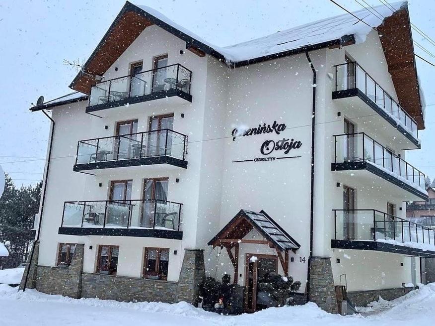 Bed and Breakfast Pieninska Ostoja à Czorsztyn Extérieur photo